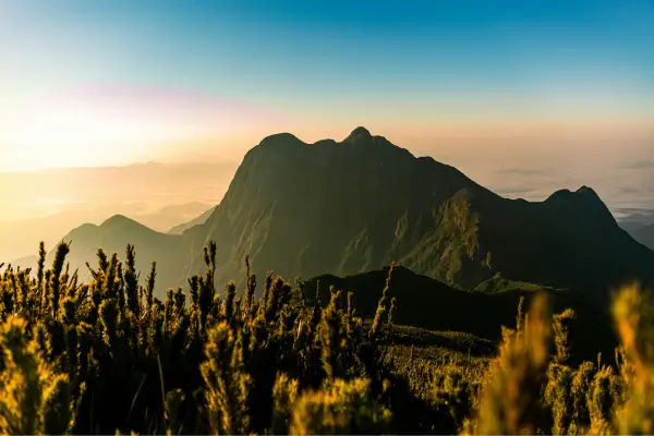 Amanhecer no Pico Paraná, no inverno, com vegetação em primeiro plano e montanhas ao fundo iluminadas pelo sol.